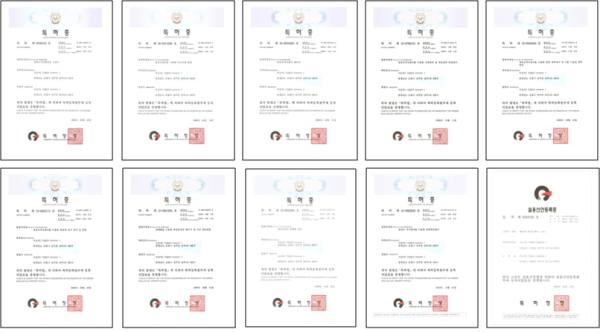 Domestic Patents
